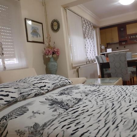 Spacious 80M2 Apartment In The Center Ljubuški Eksteriør billede